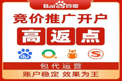案例分析：竞价代运营如何实现精准用户定位