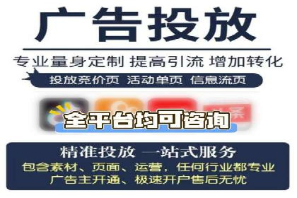 SEM代理操作技巧：成功案例揭秘